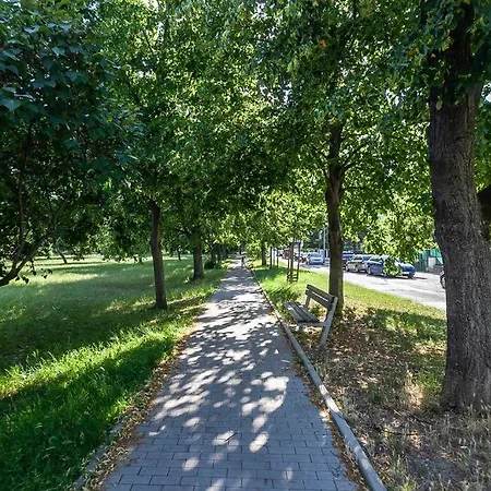 Peaceful & Quiet Flat Near Park + Parking *